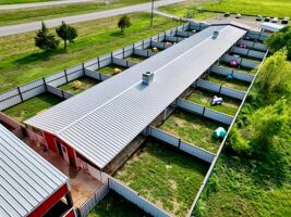 Outdoor dog exercise area at a pet care facility